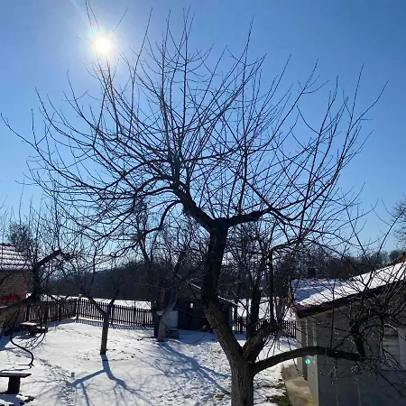 Apartman Verina Kuca *