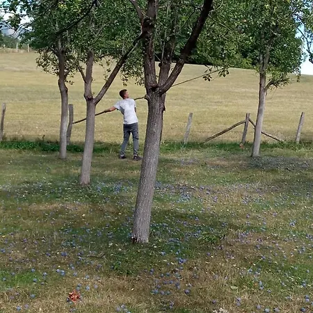 Lägenhet Verina Kuca