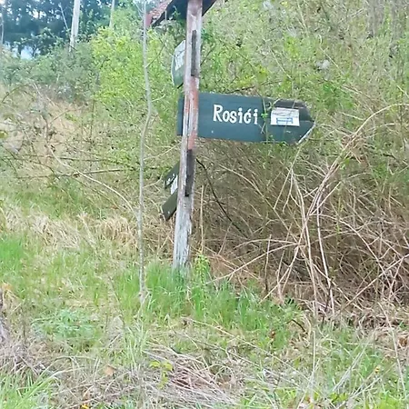 Verina Kuca Kosjeric