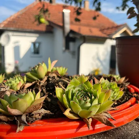 Verina Kuca * Kosjeric