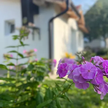 Verina Kuca Kosjeric