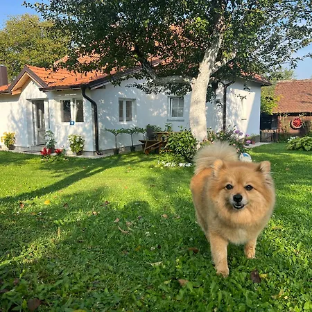 Verina Kuca Apartman Kosjerić